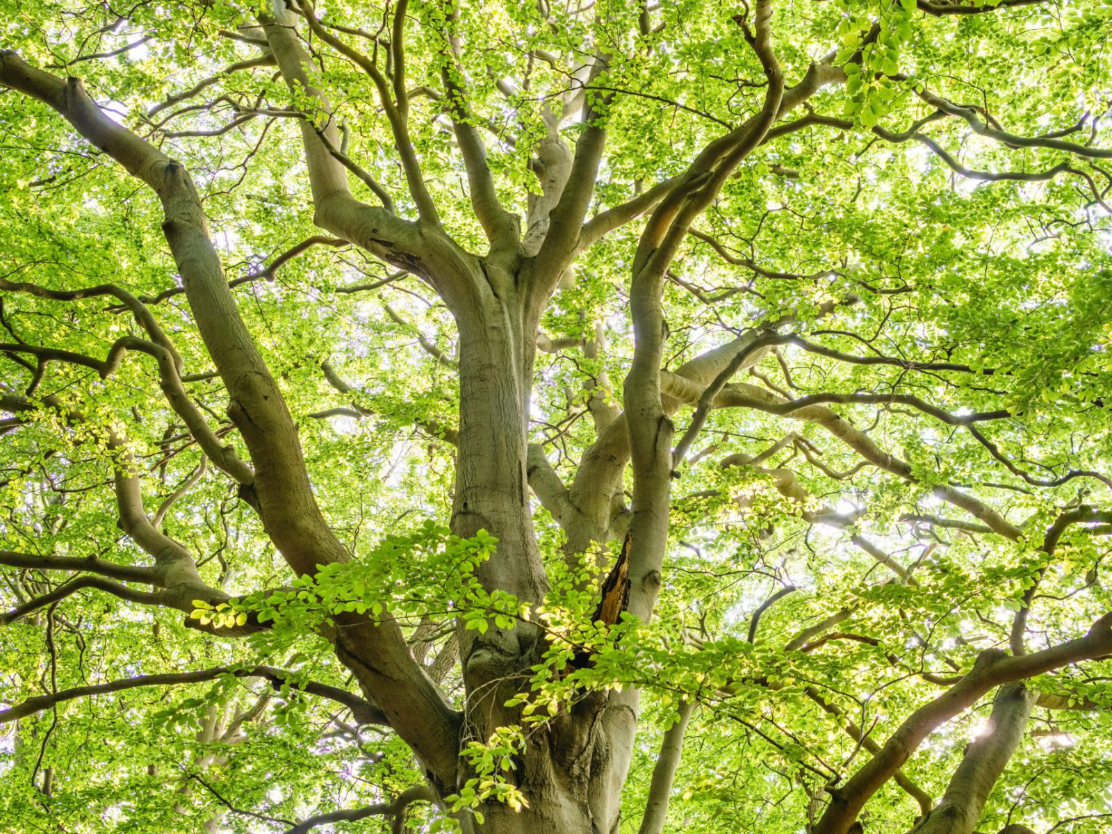 pexels-felix-mittermeier-1459495 pexels-felix-mittermeier-1459495